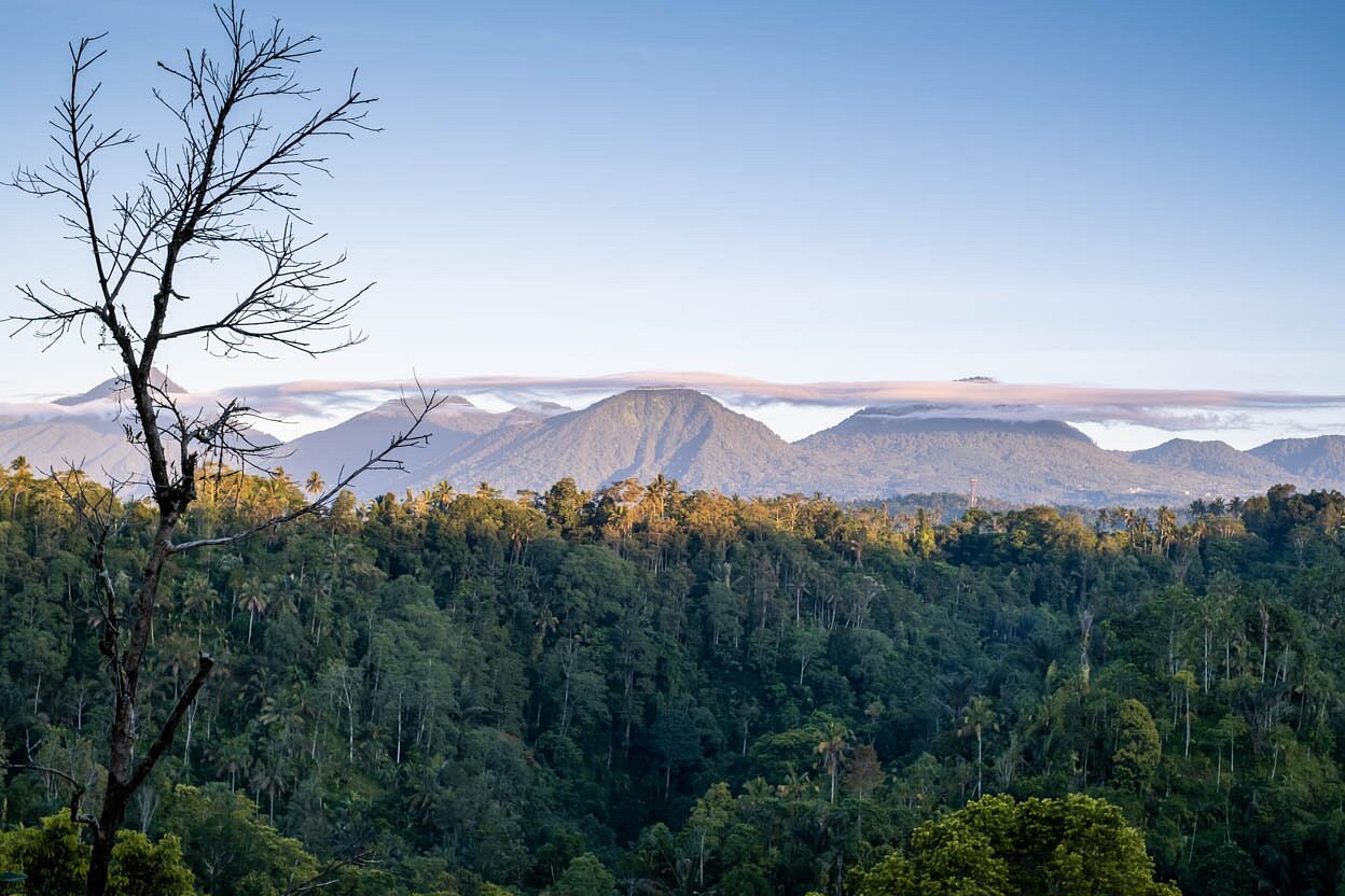 Buahan, A Banyan Tree Escape