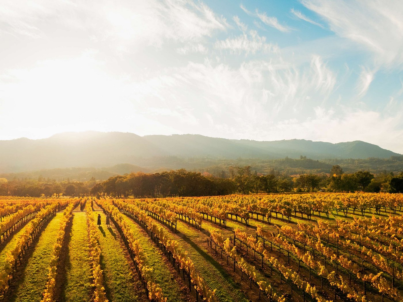 Fairmont Sonoma Mission Inn & Spa