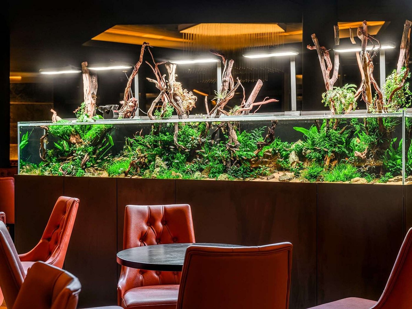 Minaro Hotel Tokaj - MGallery view 6