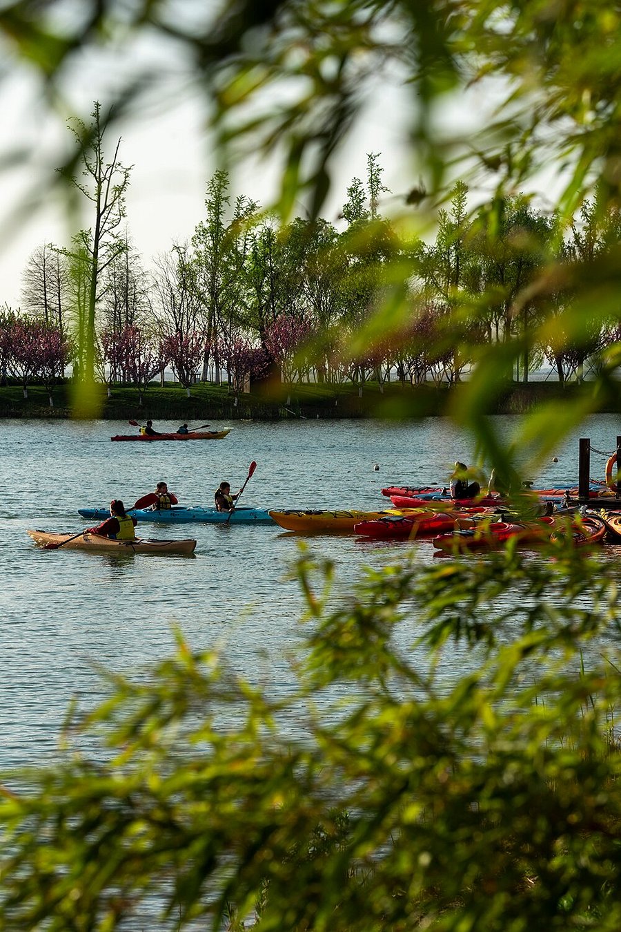 Fairmont Yangcheng Lake view 6