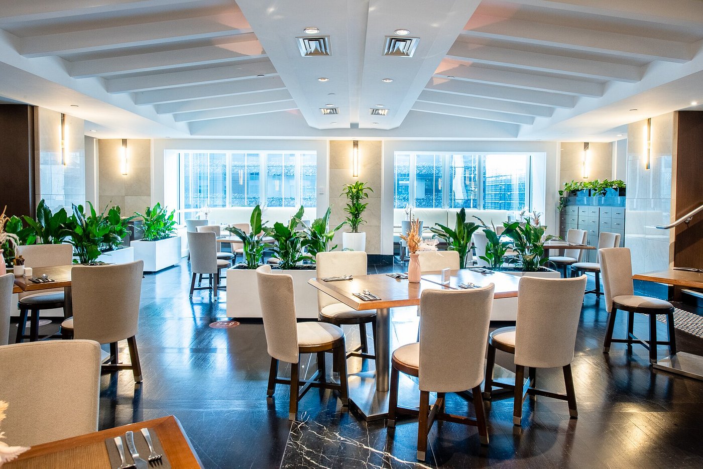 Swissotel Sydney view 6