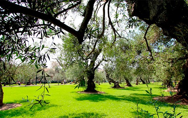 Manto Hotel Lima - MGallery view 6