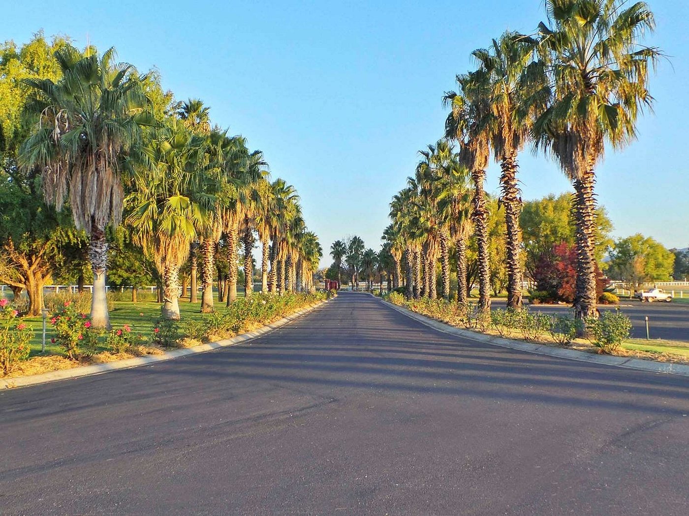 Parklands Resort And Conference Center view 6