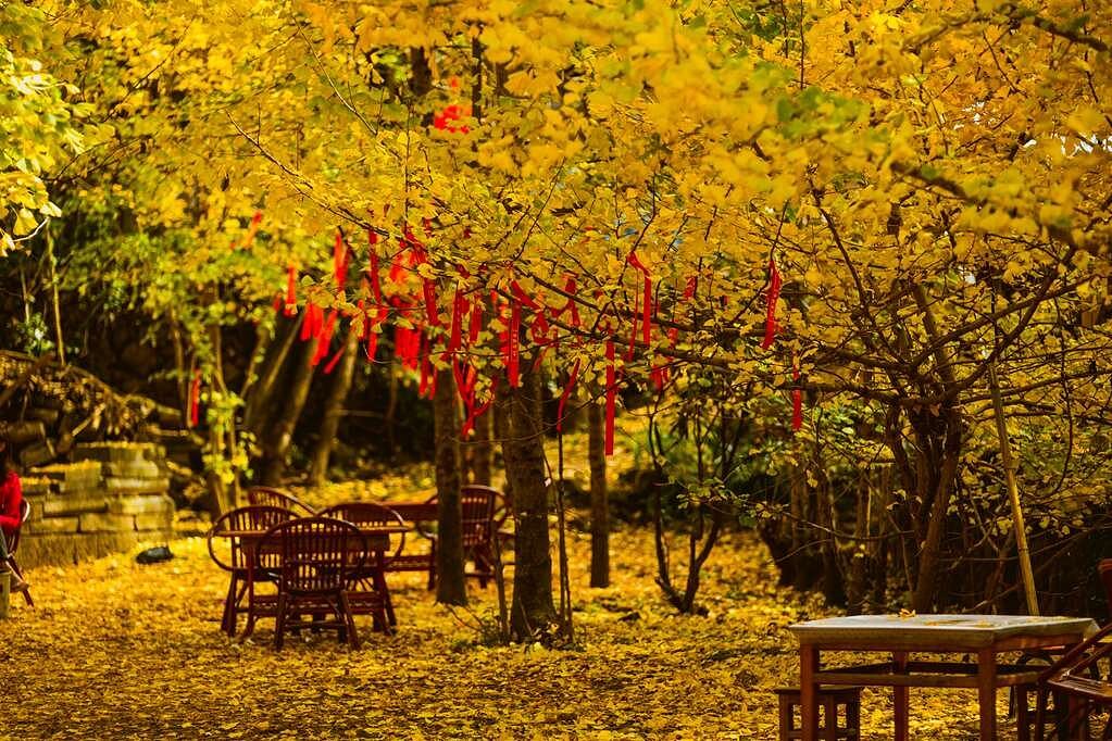 Banyan Tree Tengchong view 6