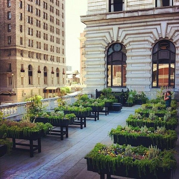 Fairmont San Francisco view 6