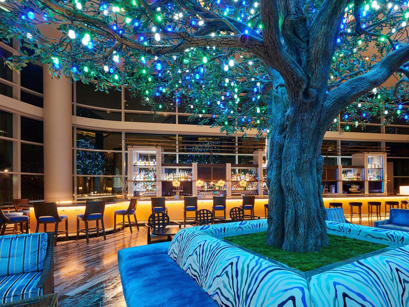 Fairmont Austin view 6