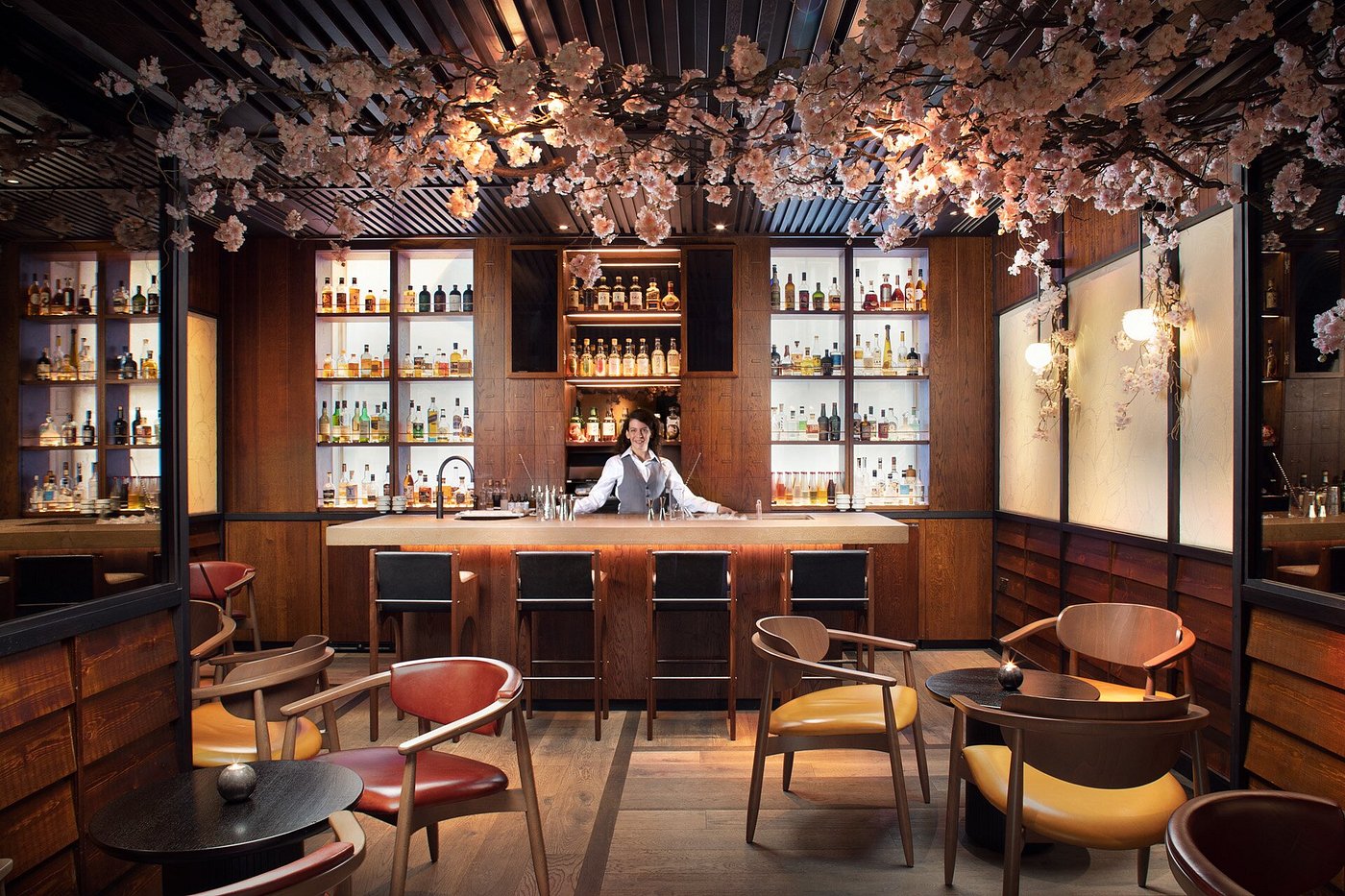 The Prince Akatoki London view 6