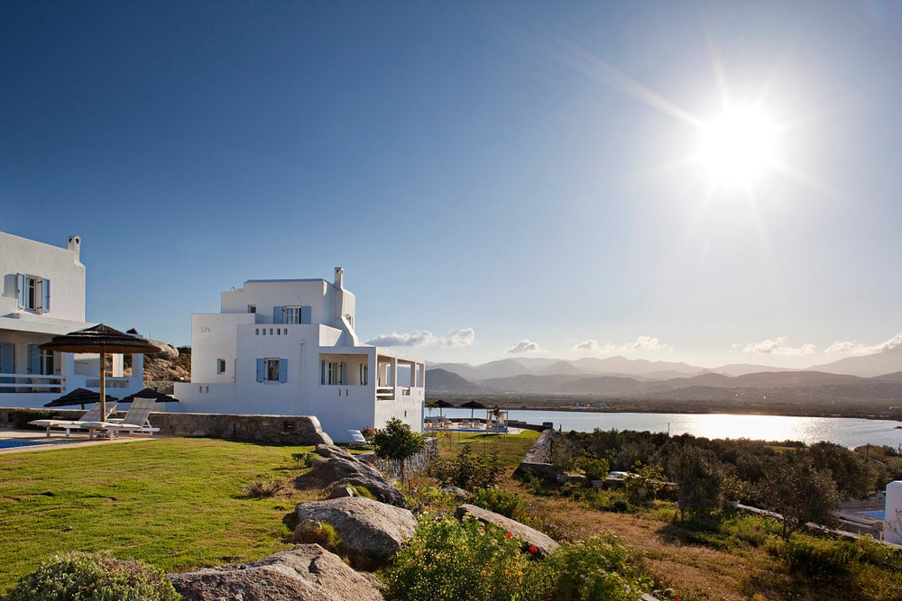 Naxian Collection view 2