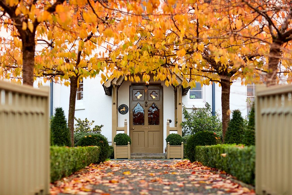 Grove of Narberth view 2