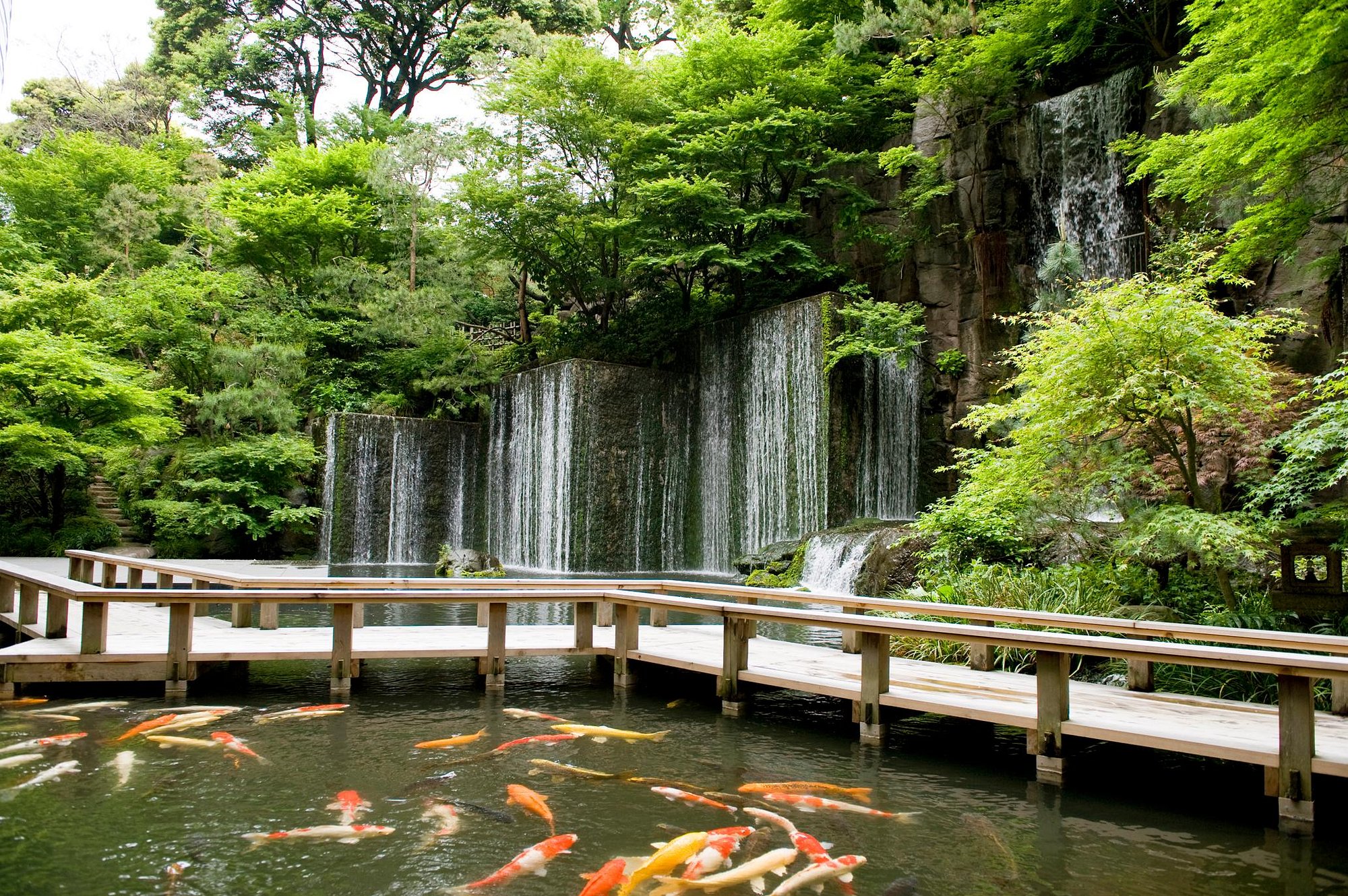 Hotel Gajoen Tokyo view 5