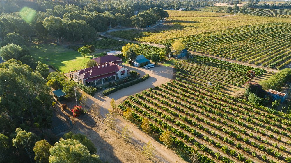 Le Mas Barossa view 2