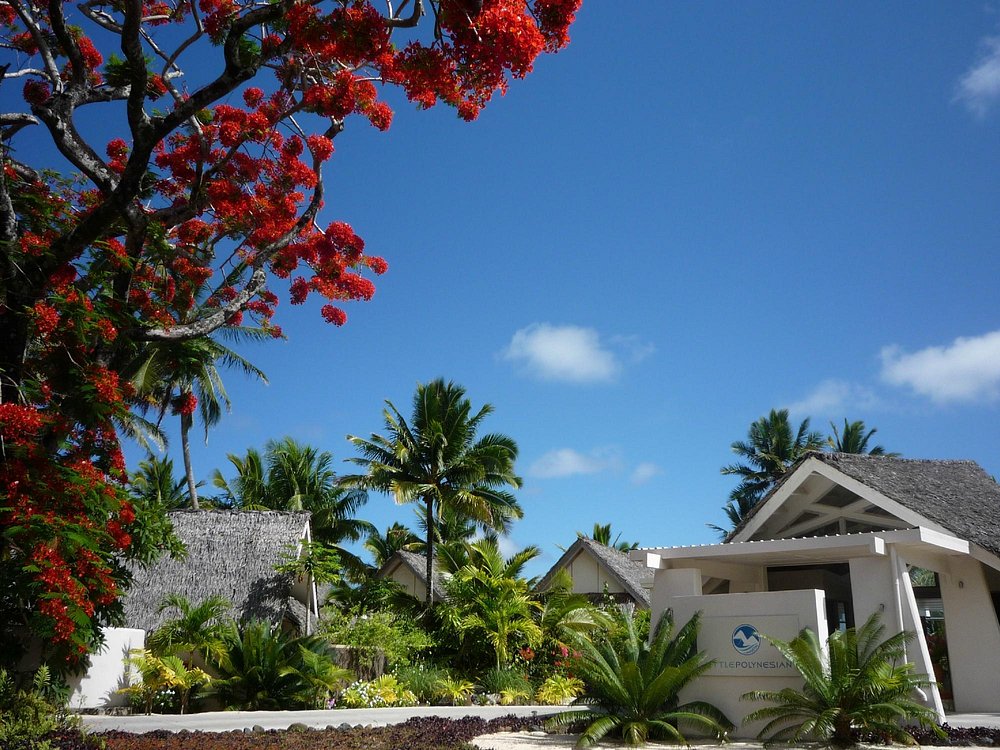 Little Polynesian Resort view 2