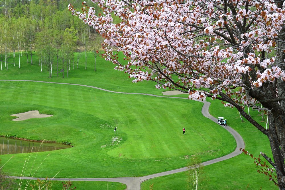 Kasara Niseko Village Townhouse view 6